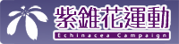 Your Site